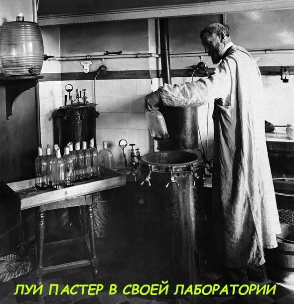 Луи Пастер в своей лаборатории